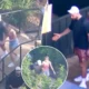 Taylor Swift and Travis Kelce's sweet zoo date! Singer takes NFL star lover to her favourite Sydney spot after he joins her on Eras Tour following Super Bowl win